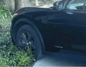 Loyola's Parking Troubles: The Verdict